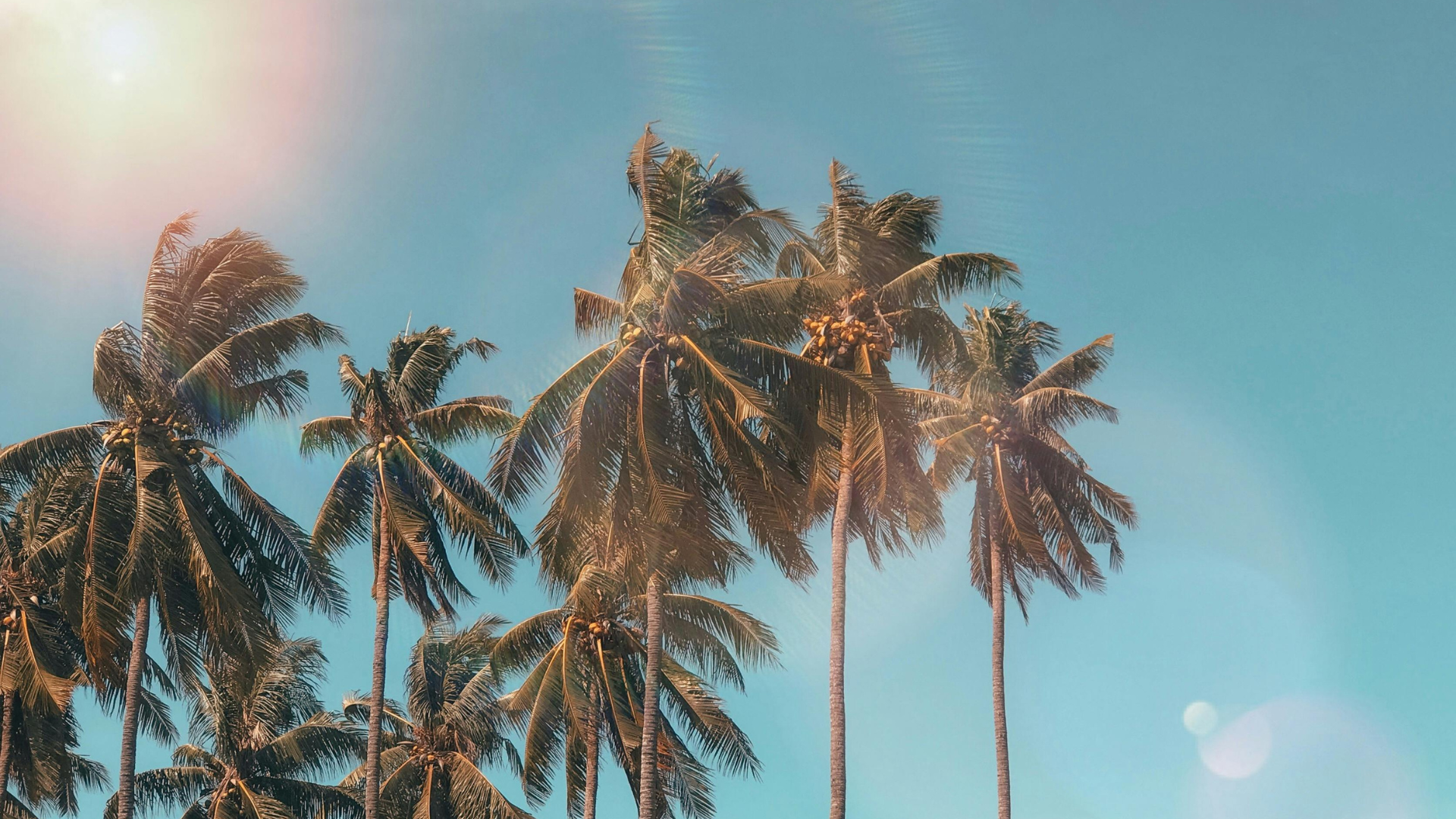 Summer Essentials