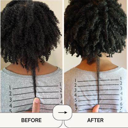 MSM + BIOTIN | Hair Nutrients Blend